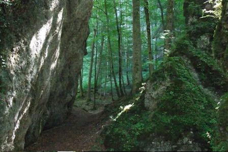 Hangwälder mit eindrucksvollen Eiszeitrelikten