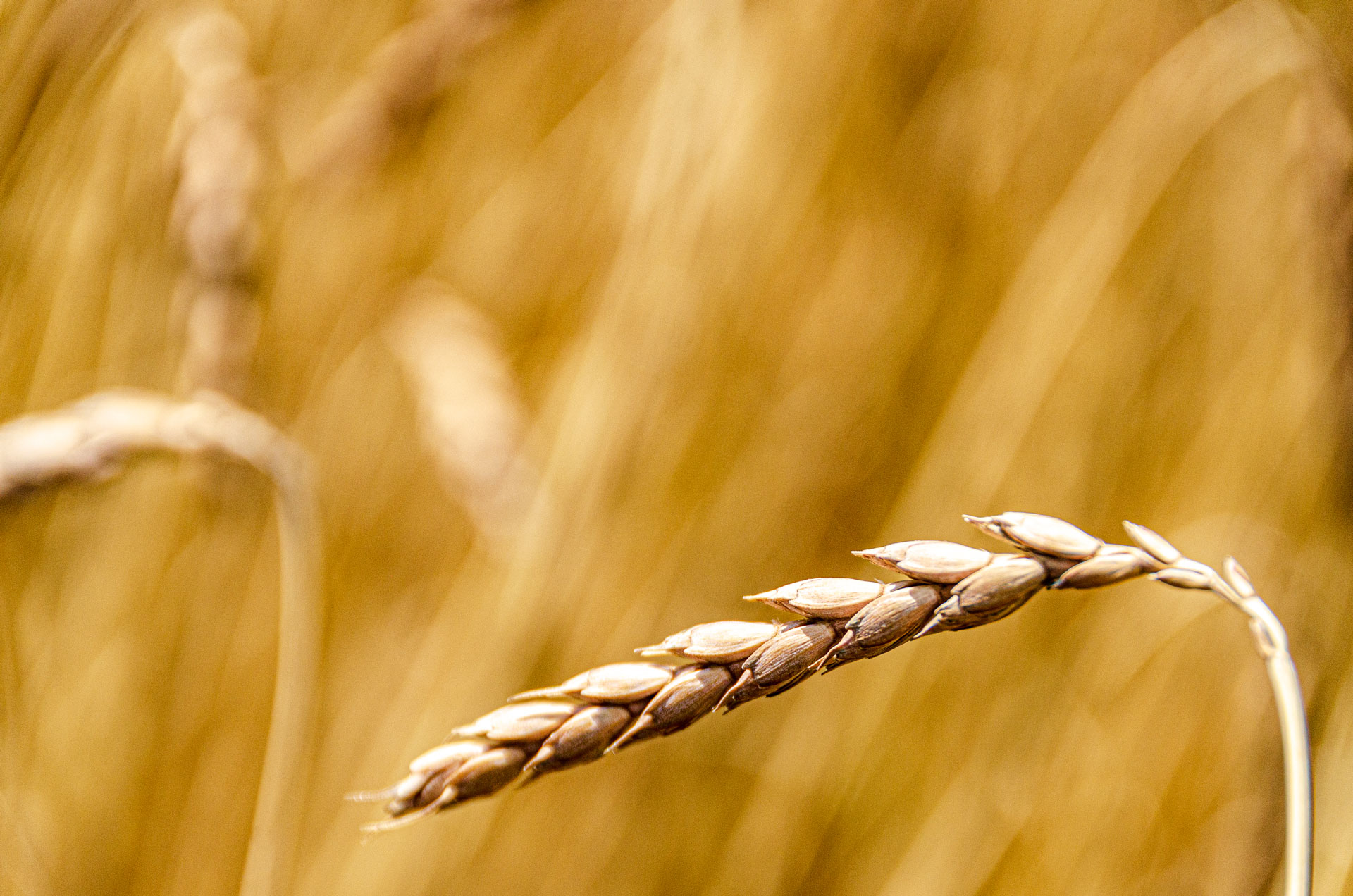 Klima - Ernährung - Biodiversität