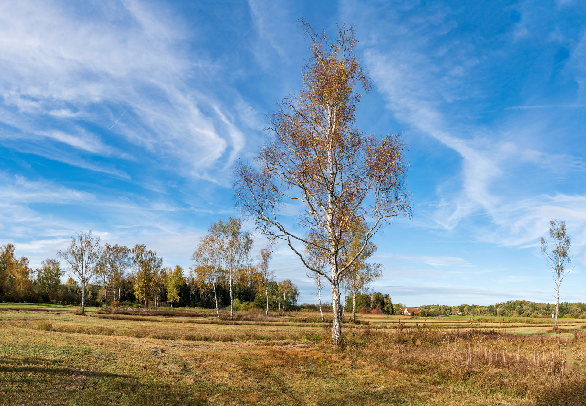 Herbstexkursion ins Taubried
