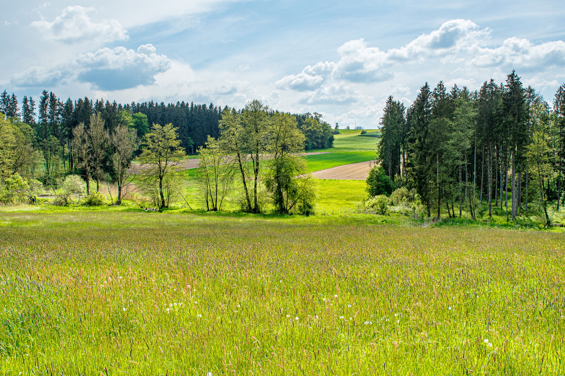 Ökoregelung 5 – Theorie & Praxis